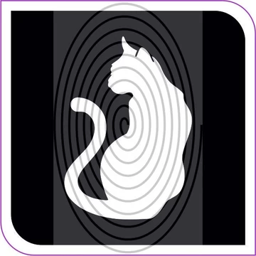Cica  (css0013_5)