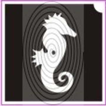 Csikó hal (csss0014)