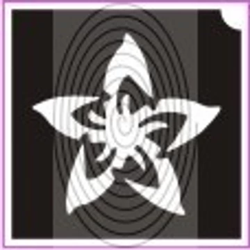 Csillag virág (csss0056)