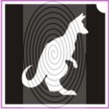 Kenguru (csss0267)