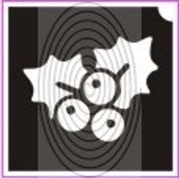 Fagyöngy (csss0286)
