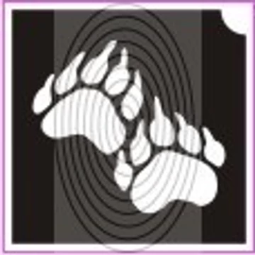 Maci talp (csss0302)