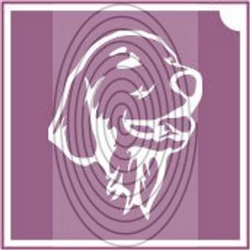 Labrador kutyafej  (csss0508)