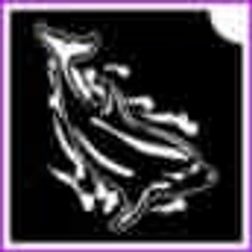 Delfin (csss0554)