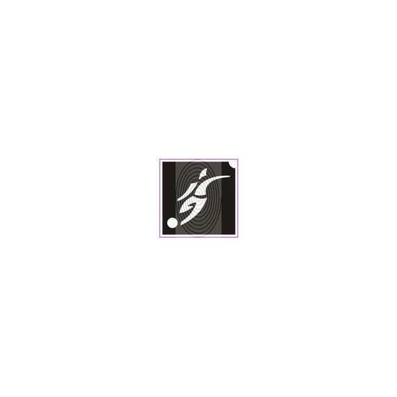 Focista (csss0006)