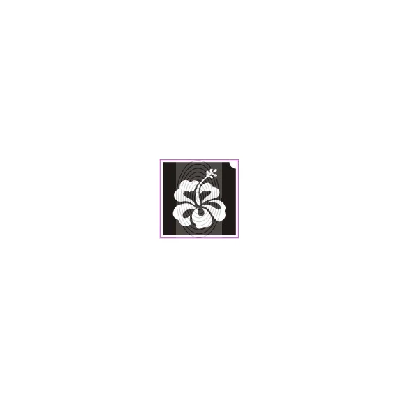 Hibiszkusz virág (csss0030)