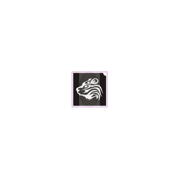 Tigris (csss0034)
