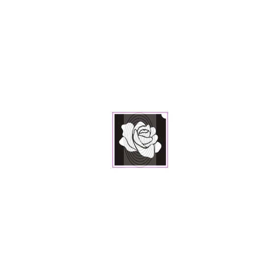 Rózsa (csss0210)