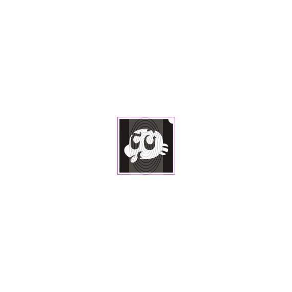 Darvin (csss0247)