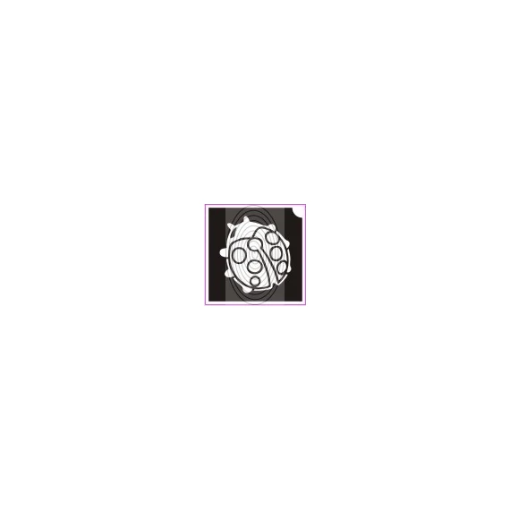 Katicabogár (csss0322)