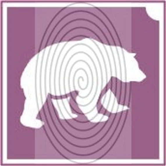 Medve  (csss0512)