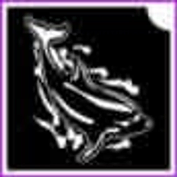 Delfin (csss0554)